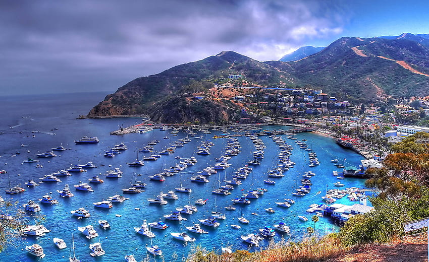 Avalon Background. Mists Avalon , Avalon NJ and Avalon Background, Santa Catalina Island HD wallpaper