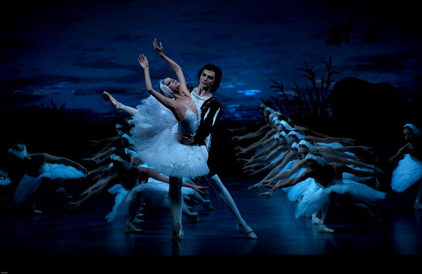 Swan Lake Ballet HD wallpaper | Pxfuel