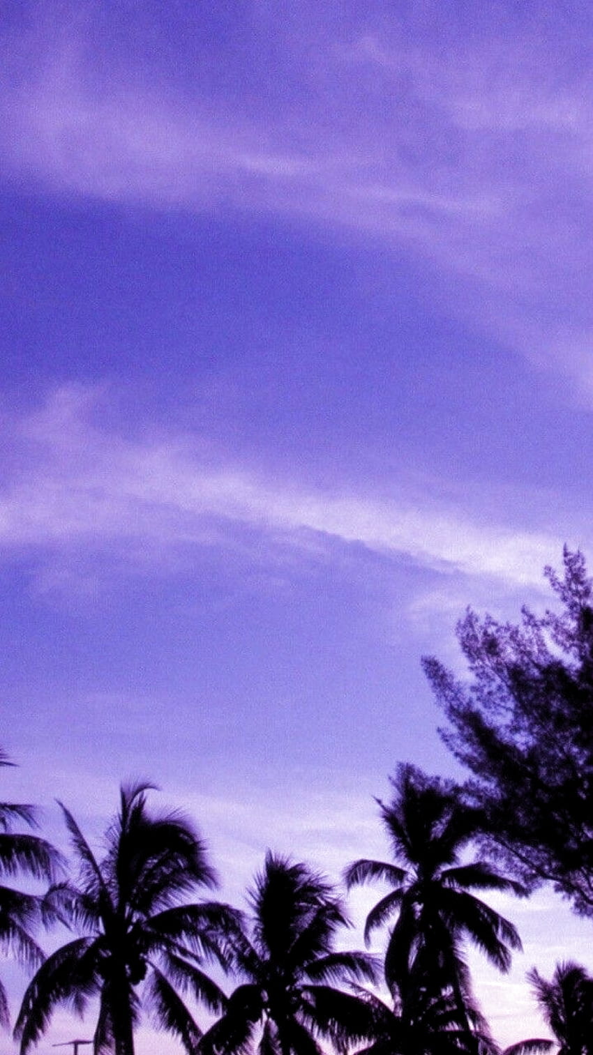 Aesthetic Lavender Color Aesthetic Purple Sky Mock Up HD phone wallpaper