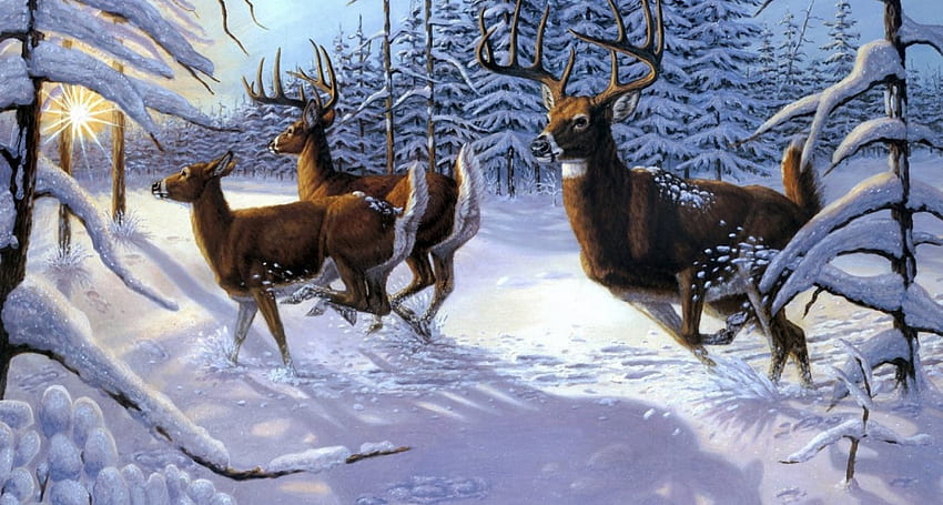 Download Kawaii Christmas Tiny Deer Wallpaper  Wallpaperscom