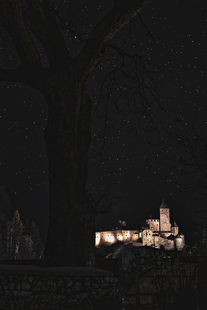 brown, castle, starry sky, architecture, dark, evening HD phone wallpaper