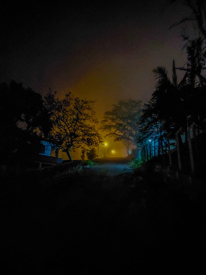 Noite, atmosfera, luz, medo, escuro, preto, neblina, caminho, rua HD phone wallpaper
