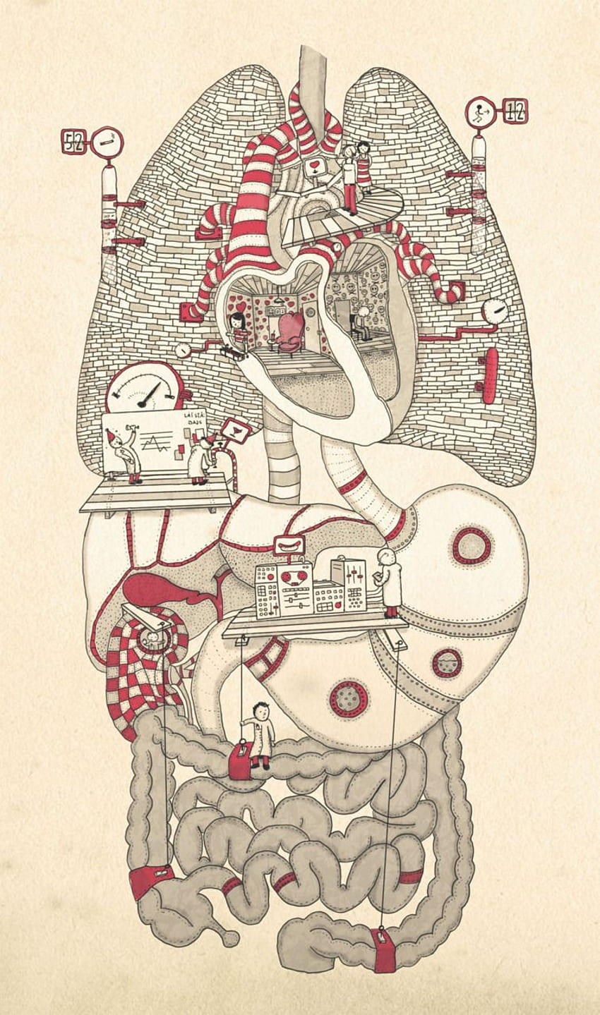 Body」ヨハン・テルンクヴィスト。 生物学アート、医療、グラフィックデザインコレクション、医療解剖学 HD電話の壁紙