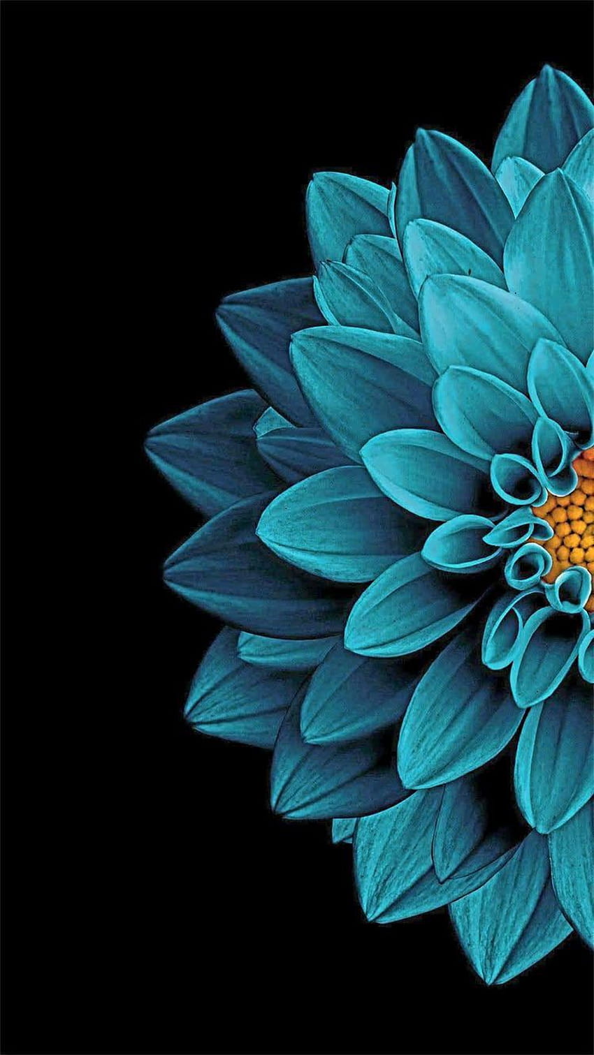 Mandala azul. Black background , Flower background iphone, Blue iphone,  Blue Dahlia HD phone wallpaper | Pxfuel