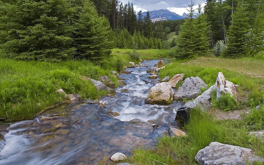 Природа, реки, планини, гора, зеленина, поток, поток HD тапет
