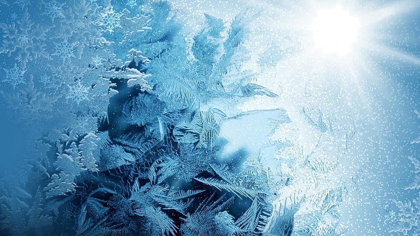 Jack Frost, blue, winter, frost, window, cold, hoar, light, bright, shine, ice HD wallpaper
