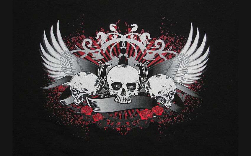 The Skulls . Skulls Roses , Skulls Guns and Skulls Dragons, Hip Hop Skull HD wallpaper