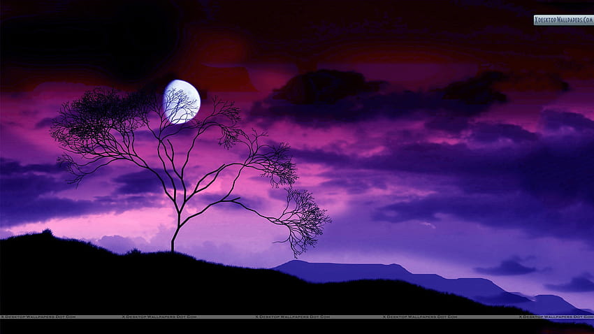 Pemandangan Malam Penuh Warna Dengan Bulan, Pemandangan Berwarna-warni Wallpaper HD