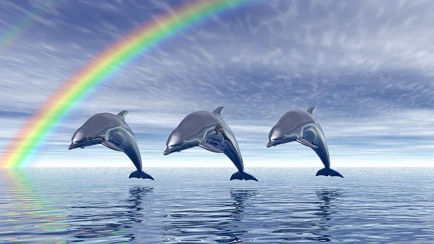 Delfiny, fajnie, uwielbiam to, fajnie Tapeta HD