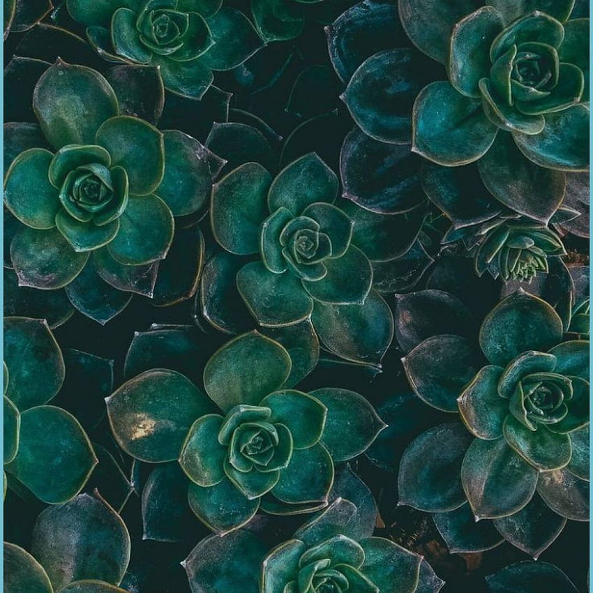 green aesthetics on Tumblr
