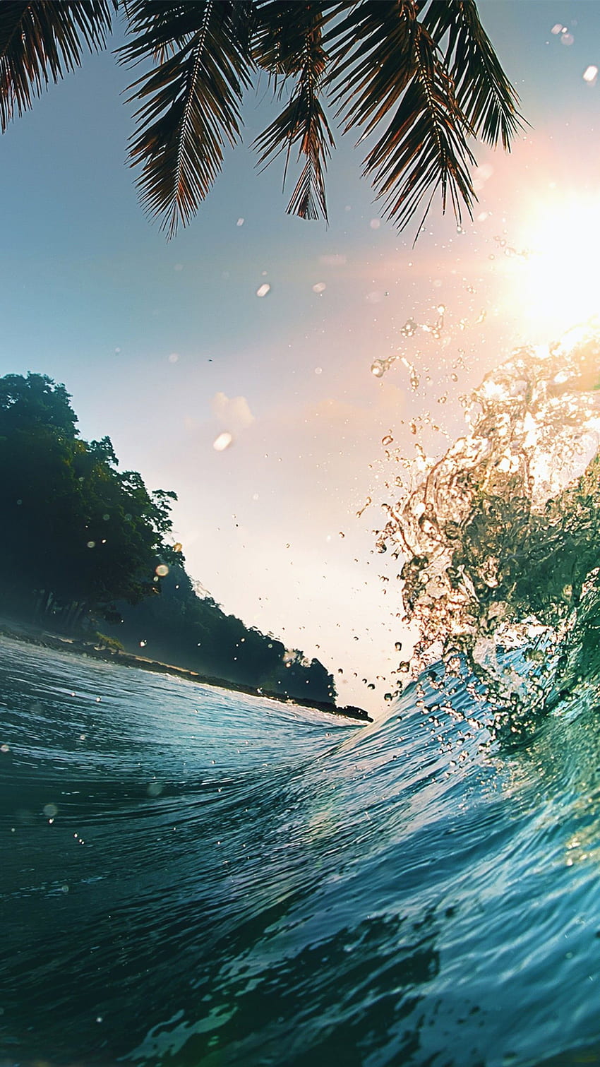 Ola océano palmeras sol. Latar belakang, Pemandangan, alam, Submarino fondo de pantalla del teléfono
