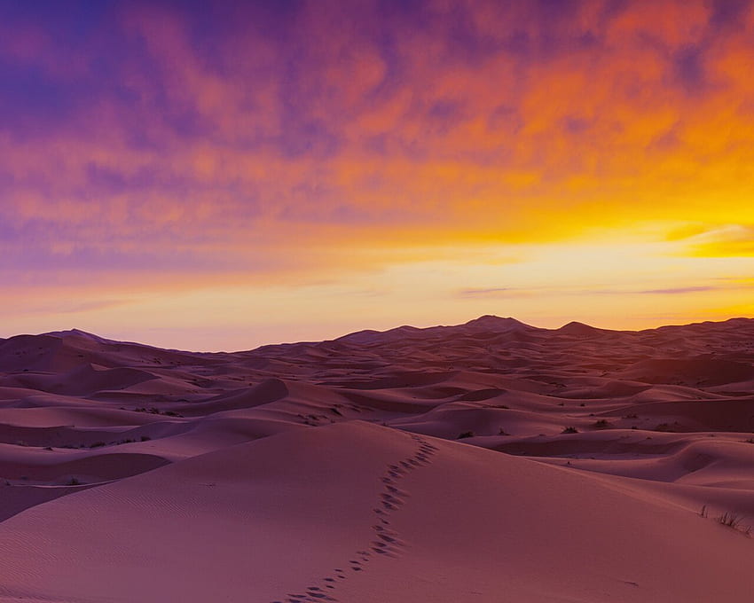 Sahara Desert Sand Dunes Resolution , , Background, and , Sahara HD ...