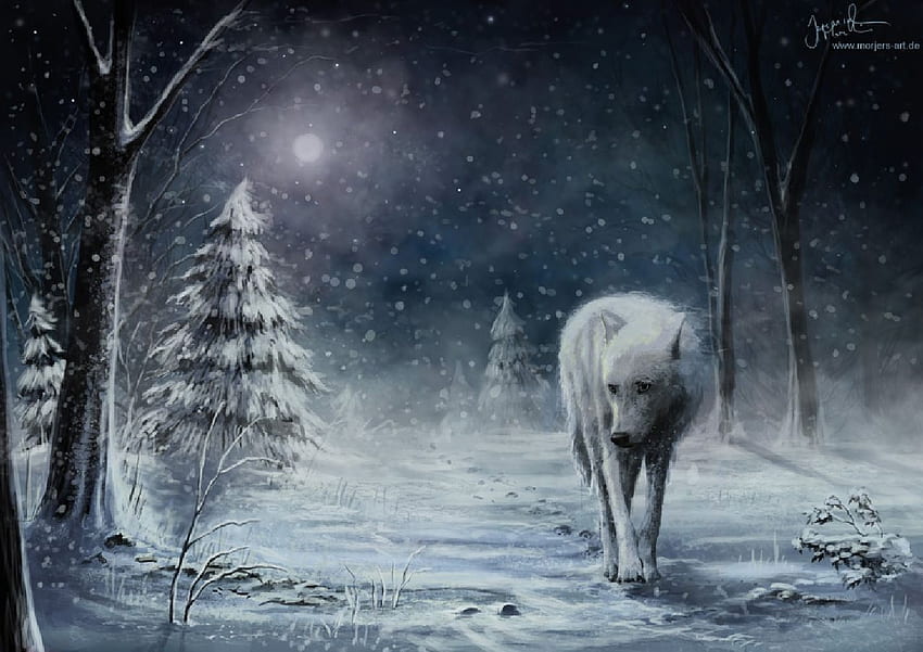 Download A lone wolf stares out into the vast winter landscape |  Wallpapers.com