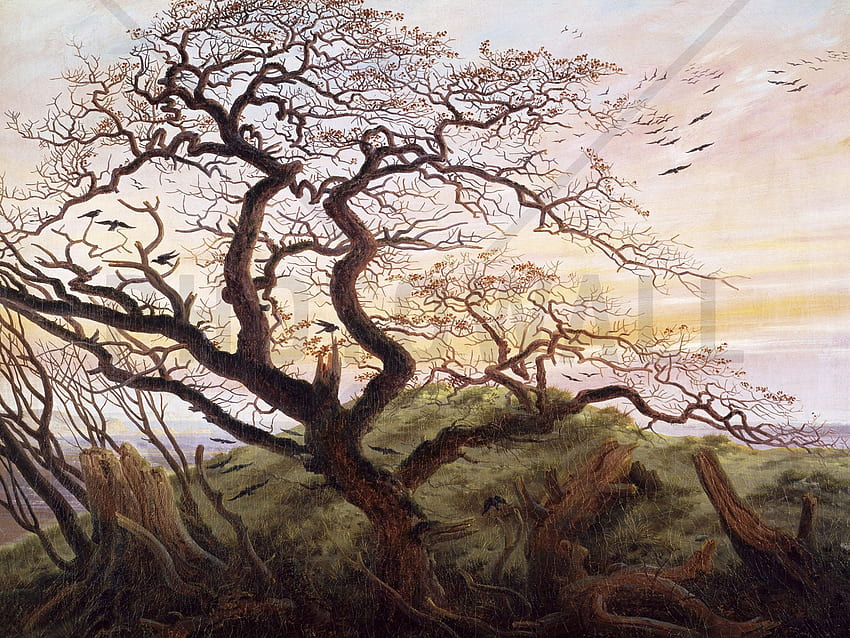 Tree of Crows, Caspar Friedrich - Wall Mural &, Caspar David Friedrich HD wallpaper
