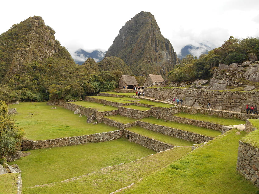 Natureza, Grama, Edifícios, Peru, Machu Picchu papel de parede HD