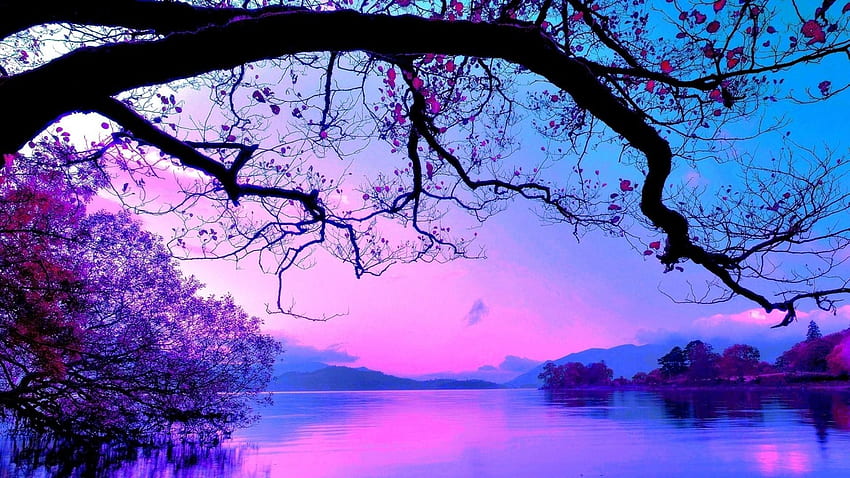 Lila Landschaft, Hintergrund, rosa Landschaft HD-Hintergrundbild