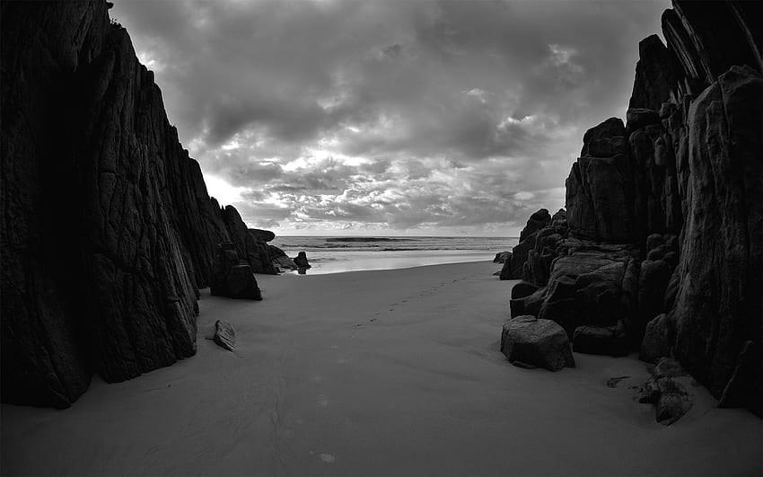 Черно-бял плаж - Черно-бял плаж - & фон, тъмен тропически HD тапет