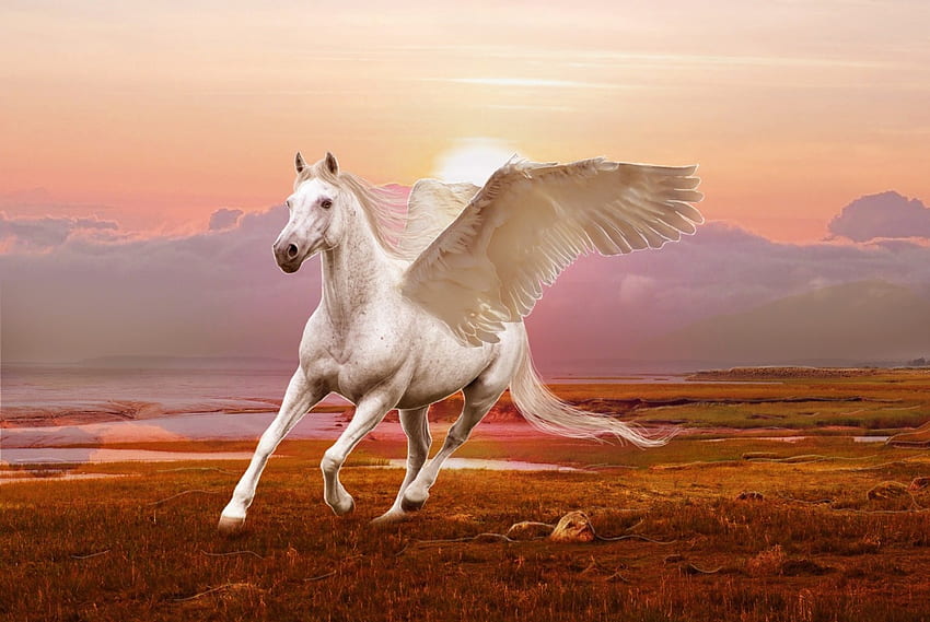 Pegaso, bianco, 3d, arte, bellissimo cavallo alato Sfondo HD