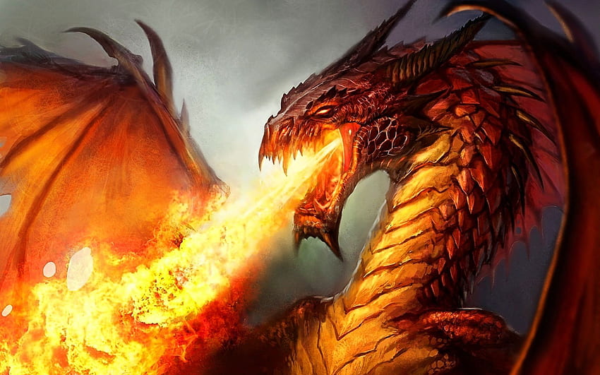 I draghi nella letteratura per adolescenti e giovani adulti sono generalmente più realistici e più potenti delle loro controparti in y. Drago rosso, arte del drago, drago, drago occidentale Sfondo HD