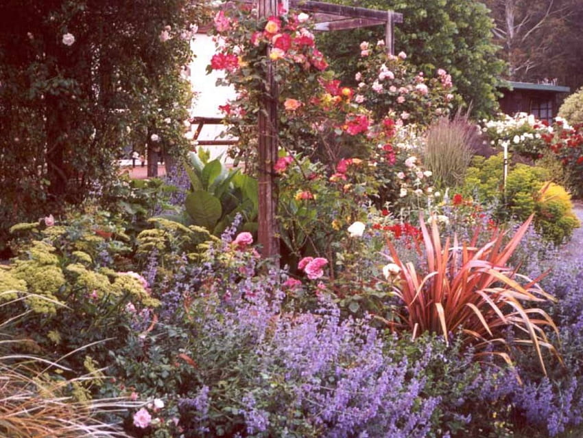Im Garten, viel Grün, Garten, Blumen HD-Hintergrundbild