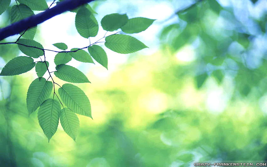 Bright HD wallpaper Bright HD wallpaper