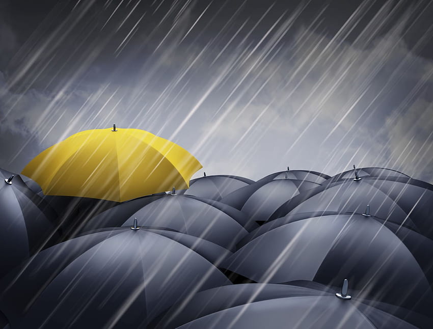 Yellow Umbrellas High Definition Nature s, Rain Umbrella HD wallpaper