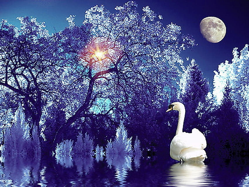 Ice blue, blue, reflection, moon, trees, swan, water, sun HD wallpaper