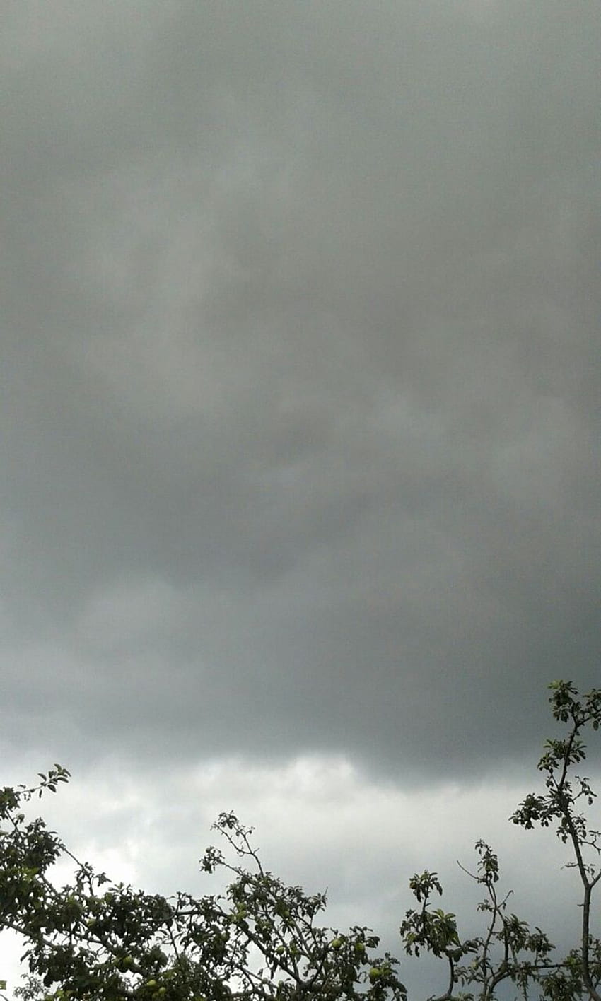 Cielo nuvoloso, nuvole, pioggia, pioggia, tempesta, alberi, foglie, nuvole grigie e grigie. Cielo piovoso, Cielo e nuvole, Estetica del cielo, Pioggia del cielo Sfondo del telefono HD