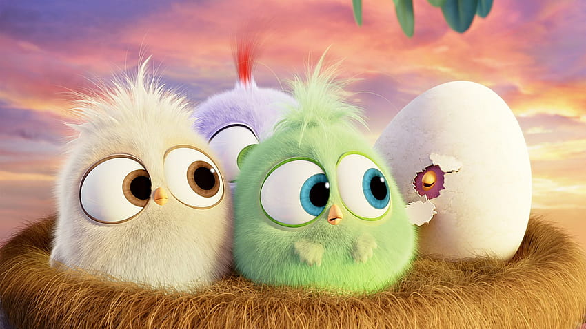 Hatchlings Angry Birds [] : HD wallpaper