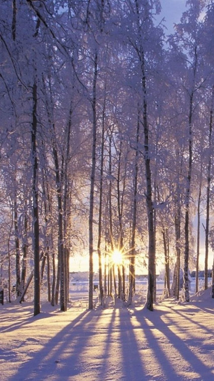 Winter Wonderland iPhone Background, Beautiful Winter iPhone HD phone  wallpaper | Pxfuel