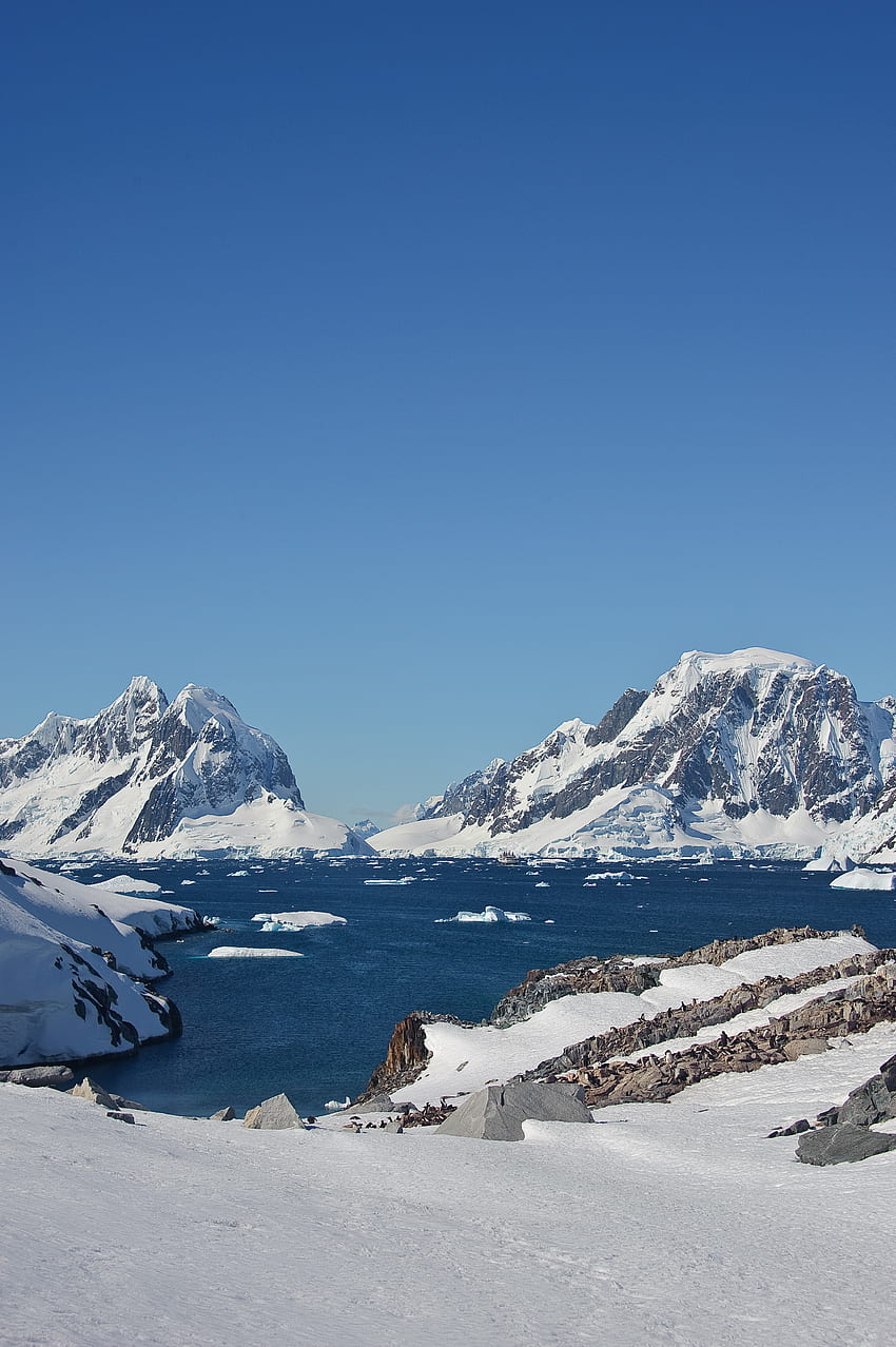 Пейзаж, Природа, Планини, Лед, Сняг, Антарктида, Северен полюс HD тапет за телефон