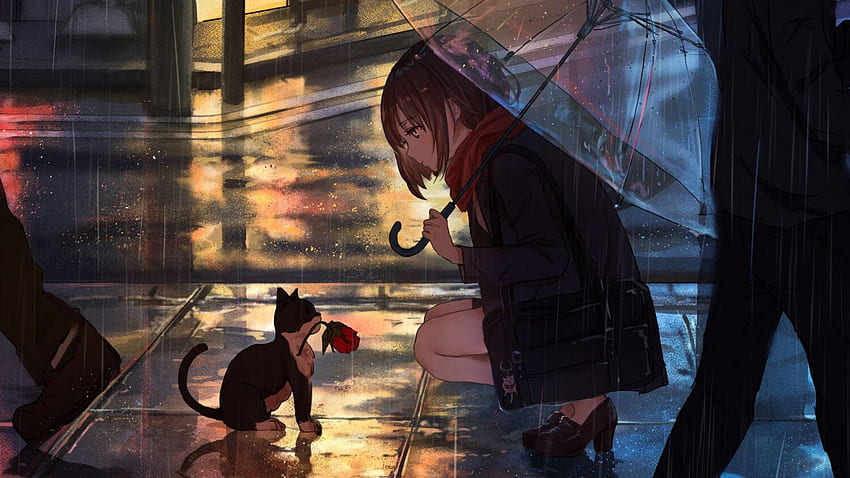 Girl, Kitten, Flower, Anime, Street, Rain - Anime Girl In The Rain, Rainy Anime HD wallpaper
