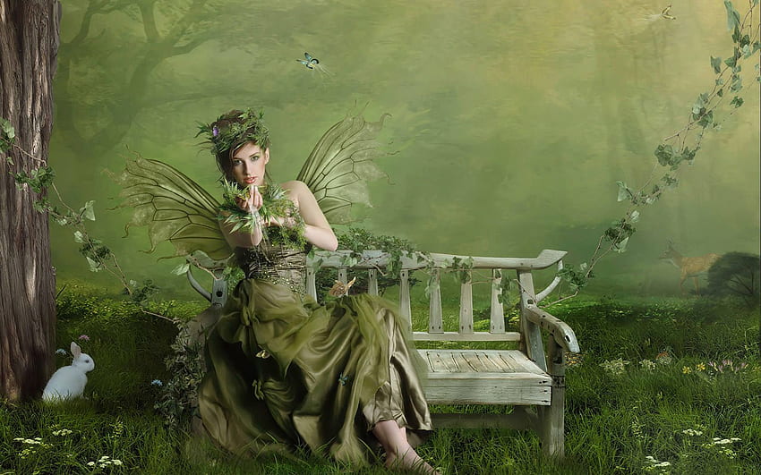 妖精、ファンタジー妖精の背景、妖精の庭 高画質の壁紙