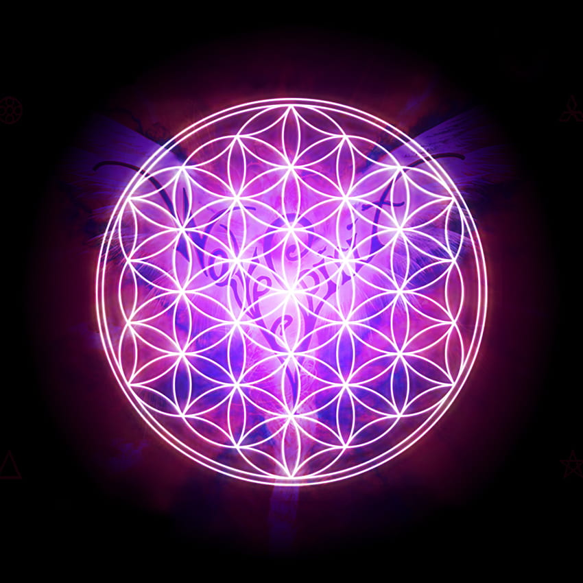 Flower Of Life Flower of life iphone HD phone wallpaper