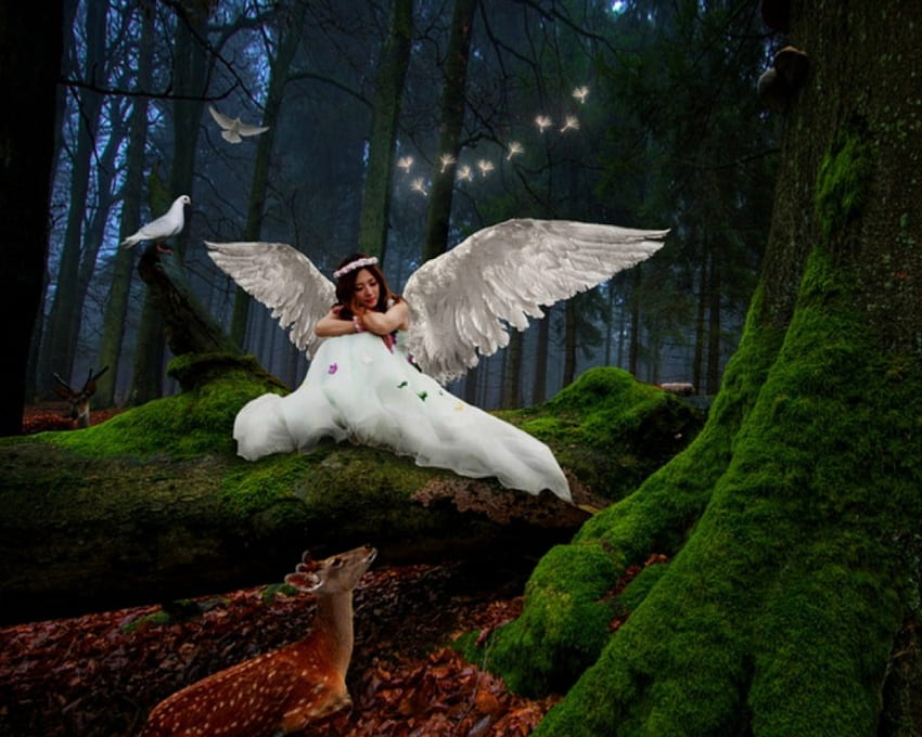 Angel, forest, deer, woman HD wallpaper