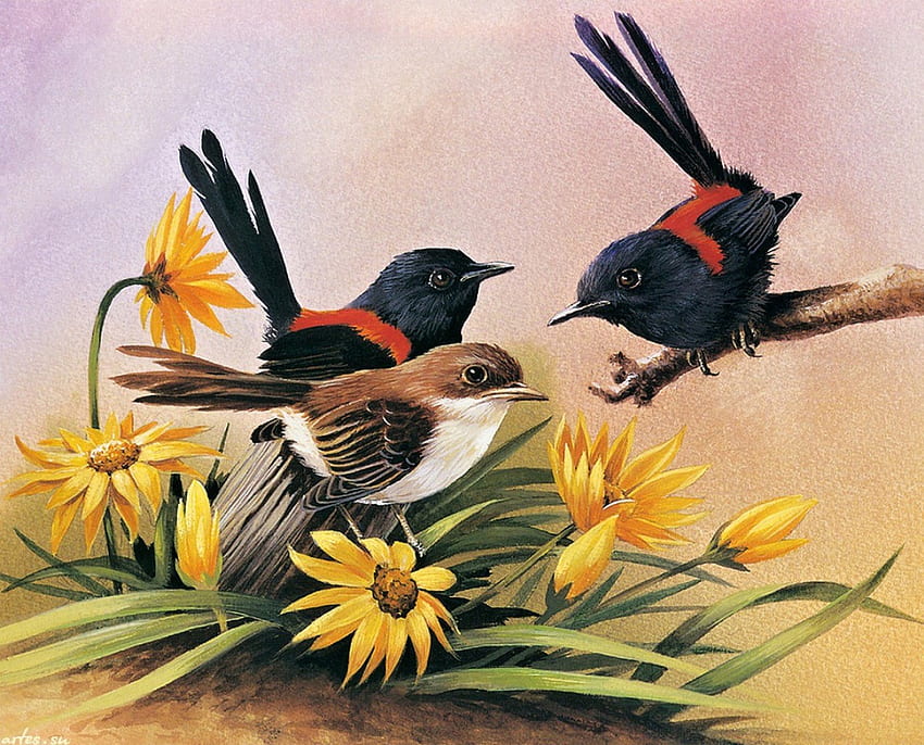 Ptaki, olejny, piękne, malarstwo Tapeta HD