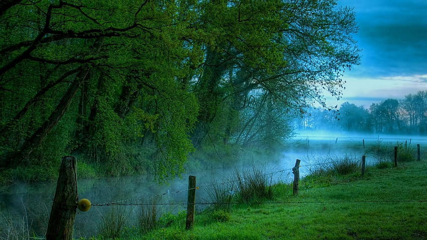 Morgennebel, Blau, Morgen, Land, Tageslicht, Tag, Nebel, Zaun, Bäume, Wasser, Gras, See, Blätter, Grün, Wolken, Natur, Himmel, Wald HD-Hintergrundbild