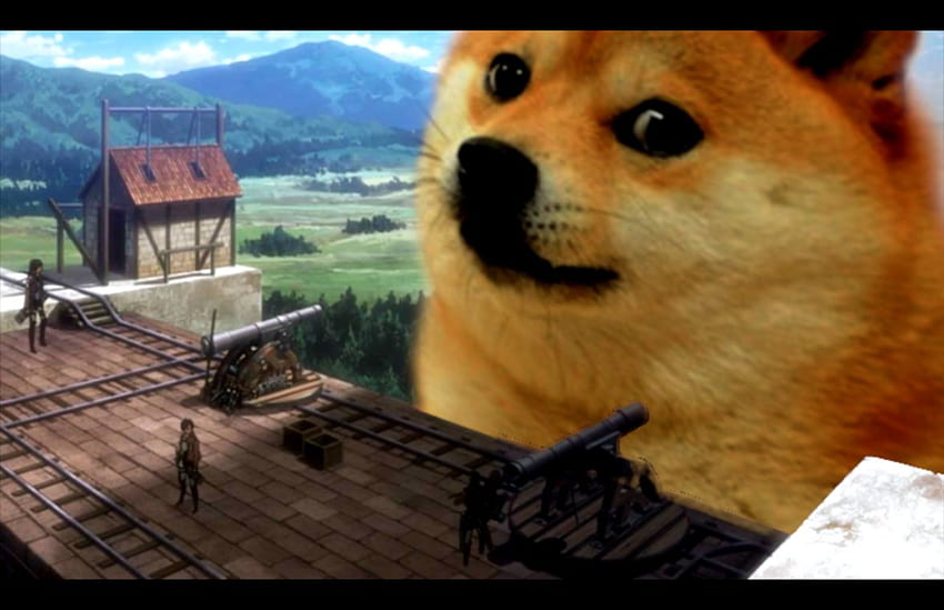 Doge, Doggo Meme HD duvar kağıdı