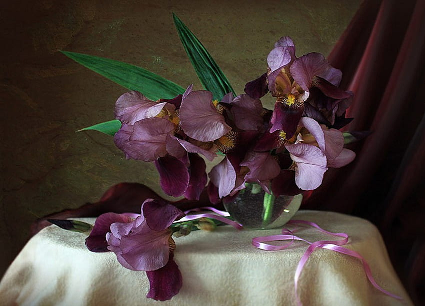 still life, iris, bouquet, graphy, beauty, nice, flower, irises, , ribbon, elegantly, vase, beautiful, purple, pink, tape, pretty, cool, flowers, lovely, harmony HD wallpaper