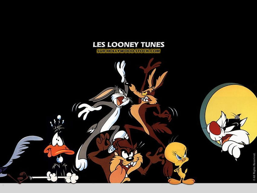Looney Tunes. desenho animado. Looney tunes, Desenho animado papel de parede HD