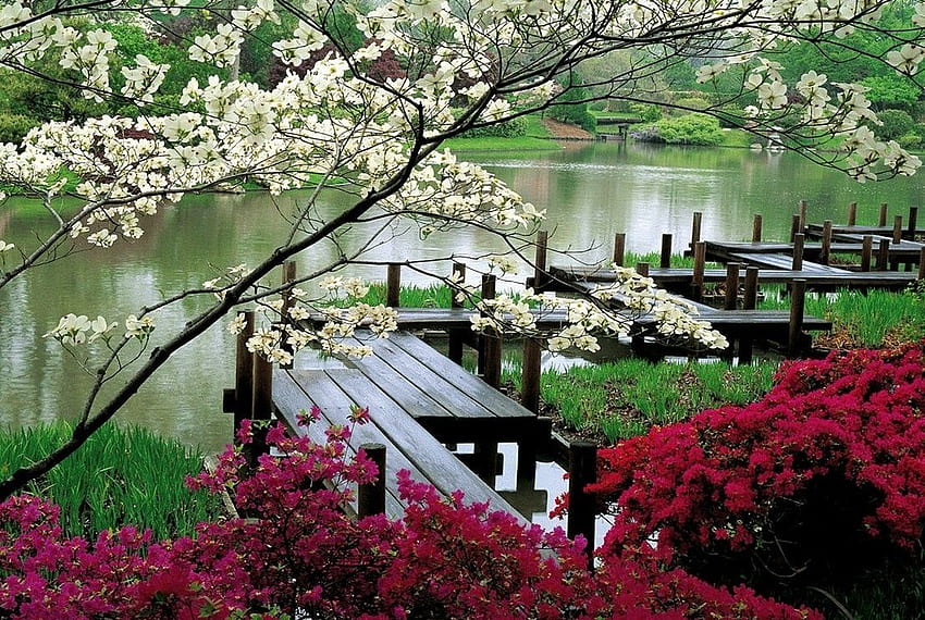 Japanese Bridge Garden HD wallpaper | Pxfuel