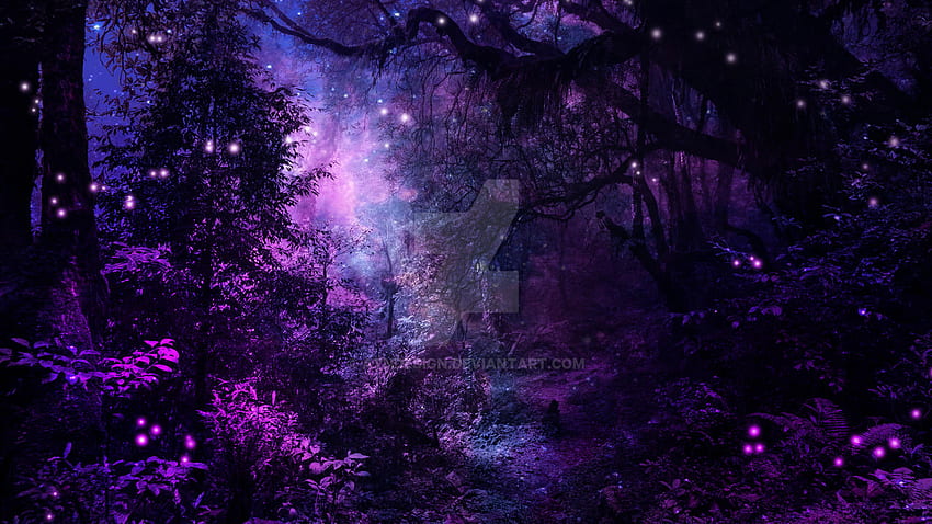 The enchanted forest HD wallpapers  Pxfuel