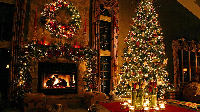 Нова година, празници, празник, къща, коледно дърво HD тапет