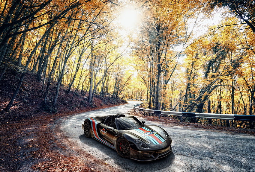 Porsche 918 Spyder, Herbst HD wallpaper