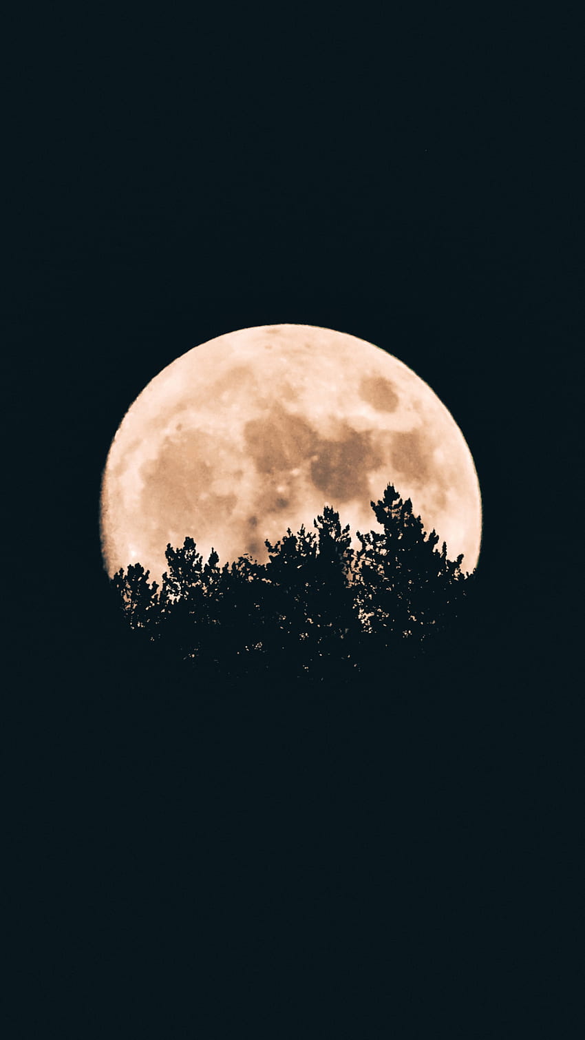 Saria Sweeney on Lluna - Moon - Luna. Halloween iphone, Preppy , Best iphone HD phone wallpaper