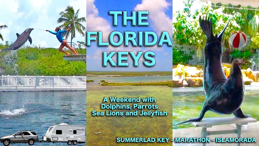 Florida Keys: A Holiday Weekend with Dolphins, Sea Lions, Parrots, and