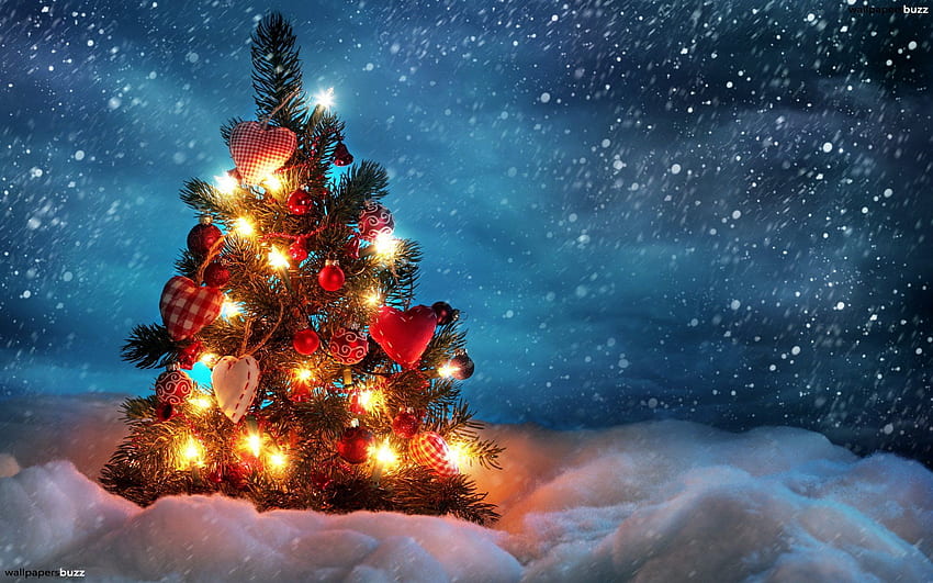 Árvore de Natal em um campo, Natal do Pólo Norte papel de parede HD