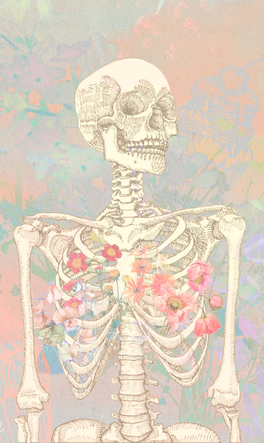 Schermata di blocco dell'anatomia dei fiori scheletro pastello. Arte della biologia, arte dell'anatomia, teschio, anatomia dello scheletro Sfondo del telefono HD