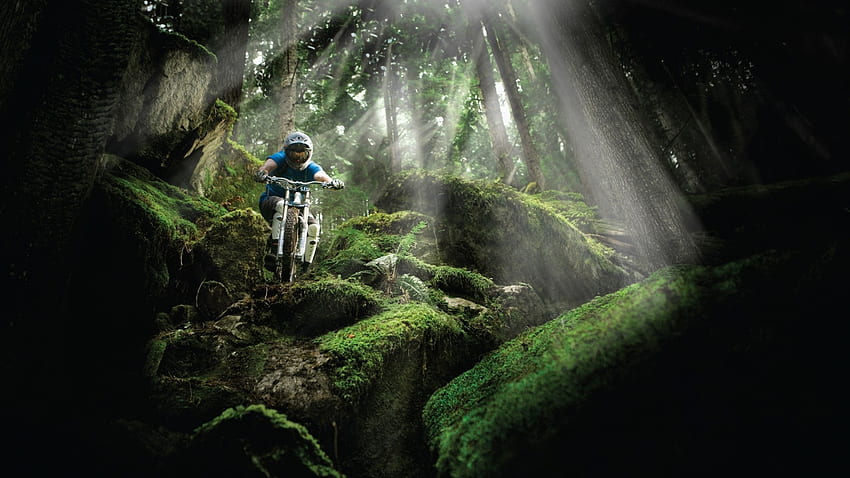Beautiful Downhill Mountain Bike . Vtt descente, Vélo de montagne, Reunion island, Enduro Mountain Bike HD wallpaper