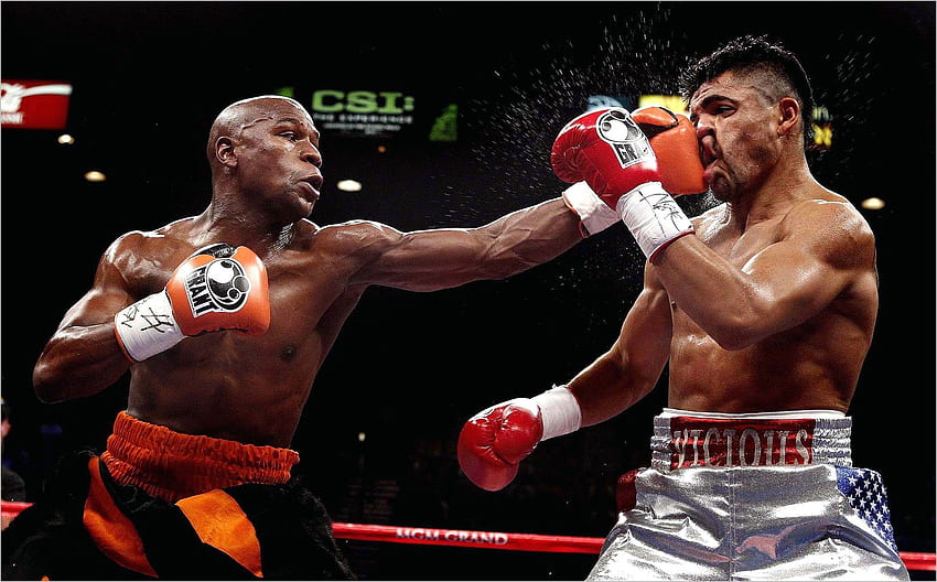 One Hit Knockout in 2020. Floyd mayweather, Boxing records, Boxing champions HD wallpaper
